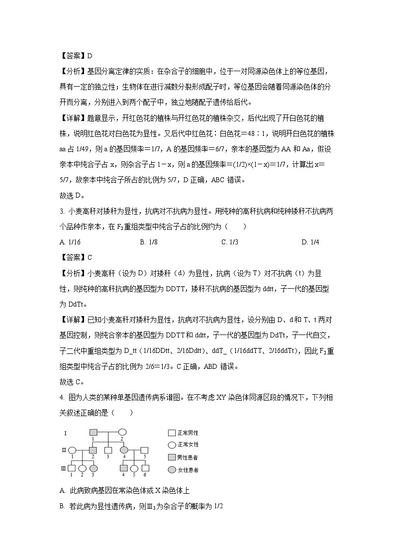 [生物][期末]广东省湛江市霞山区2023-2024学年高一下学期期末试题(解析版)02