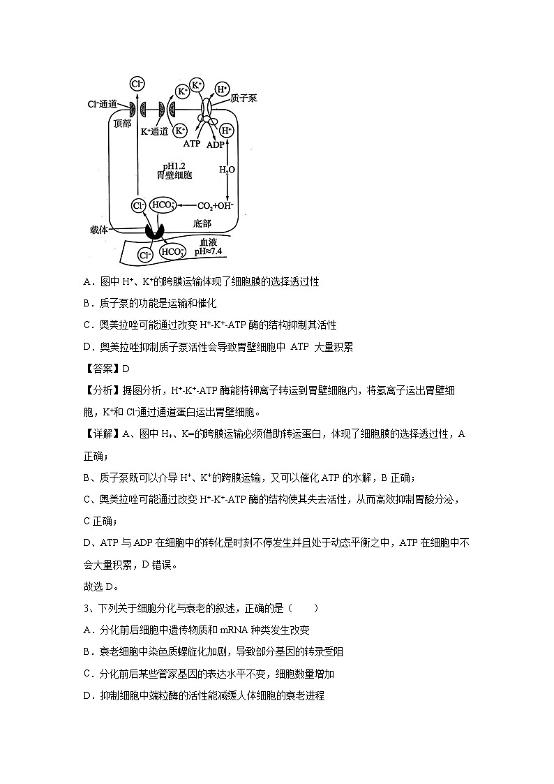 [生物]卷03-备战2024年高考生物临考压轴卷(湖南卷)(解析版)第2页