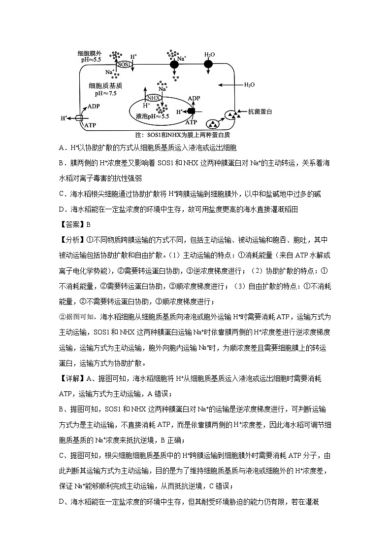 [生物]卷02-备战2024年高考生物临考压轴卷(江西卷)(解析版)第2页