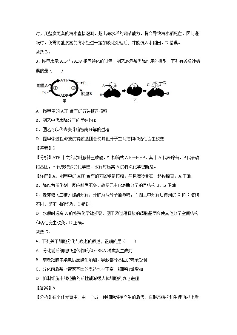 [生物]卷02-备战2024年高考生物临考压轴卷(江西卷)(解析版)第3页