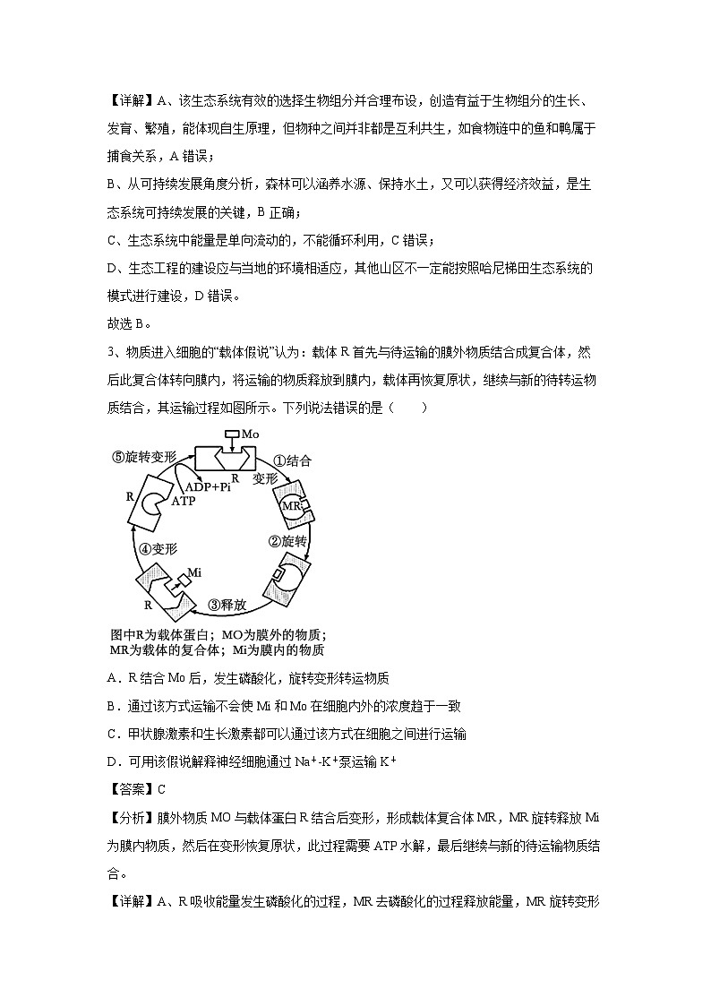 [生物]卷02-备战2024年高考生物临考压轴卷(山东卷)(解析版)第2页