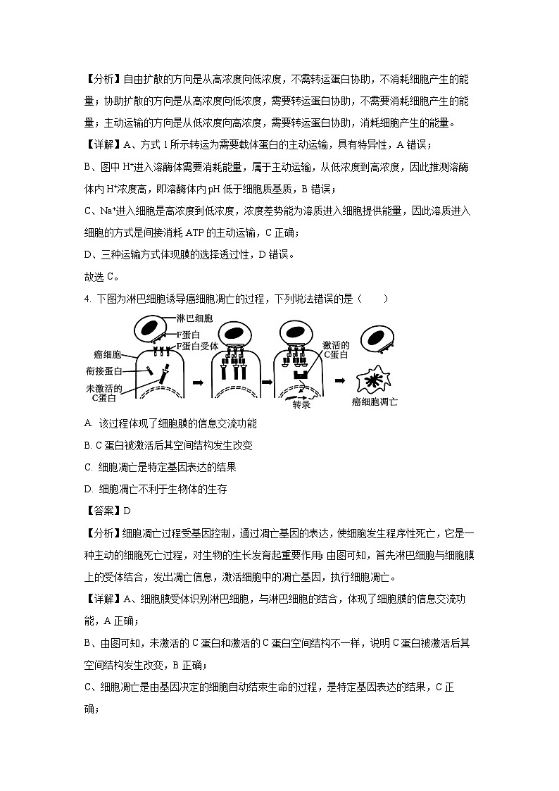 [生物]2024届湖南省岳阳市高三下学期教学质量监测(解析版)03