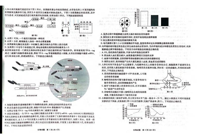 生物丨重庆市高2024届高三第八次质量检测生物试卷及答案02