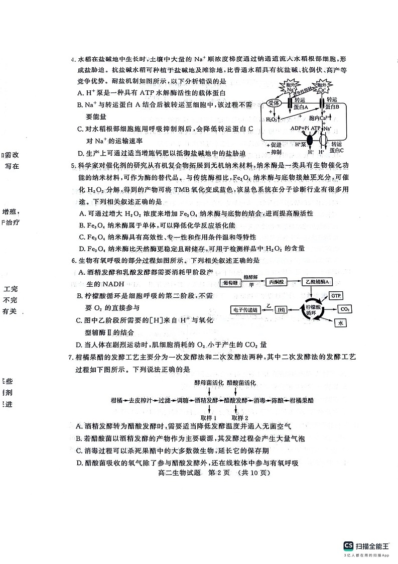 山东省济南市2025届高二下学期期末考试生物02