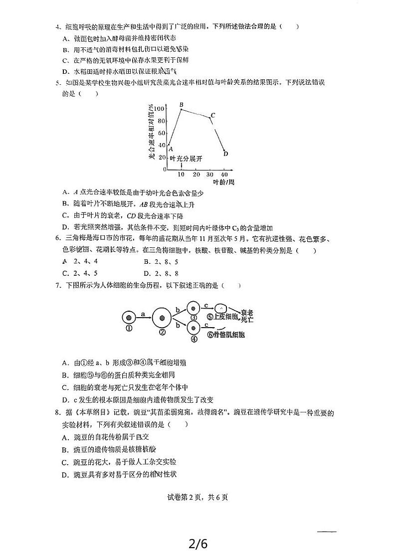 海南省海口市美兰区海口市教育局2023-2024学年高一下学期期末考试生物试题02