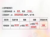鲁湘辽新教材2024届高考生物一轮复习第十单元生物技术与工程第2课时微生物的培养技术及应用课件