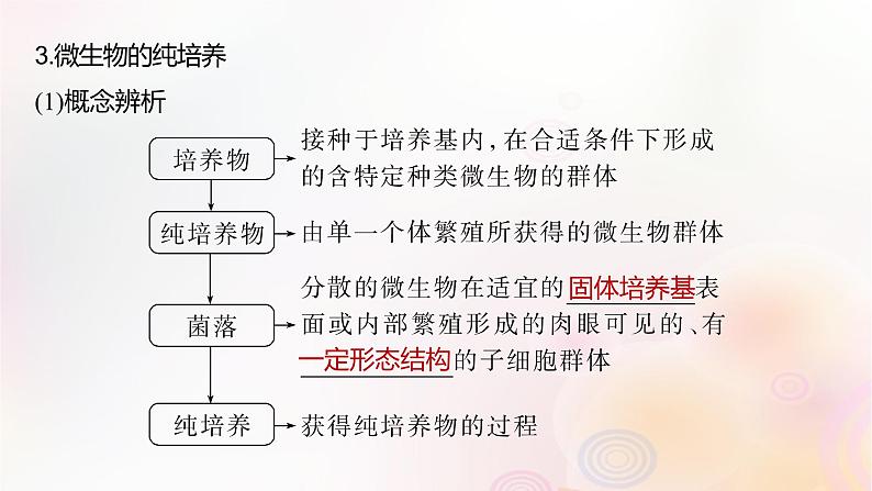 鲁湘辽新教材2024届高考生物一轮复习第十单元生物技术与工程第2课时微生物的培养技术及应用课件08