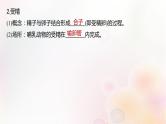 鲁湘辽新教材2024届高考生物一轮复习第十单元生物技术与工程第5课时胚胎工程课件