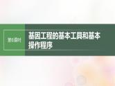 鲁湘辽新教材2024届高考生物一轮复习第十单元生物技术与工程第6课时基因工程的基本工具和基本操作程序课件