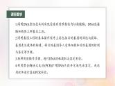 鲁湘辽新教材2024届高考生物一轮复习第十单元生物技术与工程第6课时基因工程的基本工具和基本操作程序课件