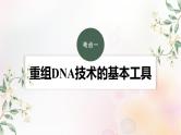 鲁湘辽新教材2024届高考生物一轮复习第十单元生物技术与工程第6课时基因工程的基本工具和基本操作程序课件