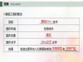 鲁湘辽新教材2024届高考生物一轮复习第十单元生物技术与工程第6课时基因工程的基本工具和基本操作程序课件