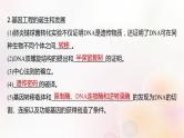 鲁湘辽新教材2024届高考生物一轮复习第十单元生物技术与工程第6课时基因工程的基本工具和基本操作程序课件