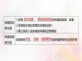 鲁湘辽新教材2024届高考生物一轮复习第十单元生物技术与工程第8课时生物技术的安全性与伦理问题课件