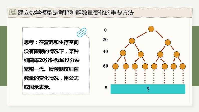 1.2不同条件下种群的增长方式不同（教学课件）——高中生物学浙科版（2019）选择性必修二04