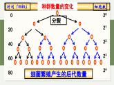 1.2不同条件下种群的增长方式不同（教学课件）——高中生物学浙科版（2019）选择性必修二