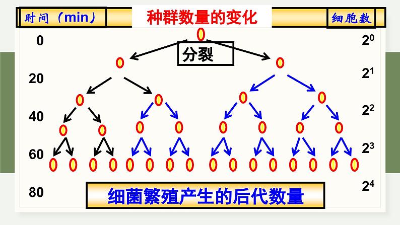 1.2不同条件下种群的增长方式不同（教学课件）——高中生物学浙科版（2019）选择性必修二05