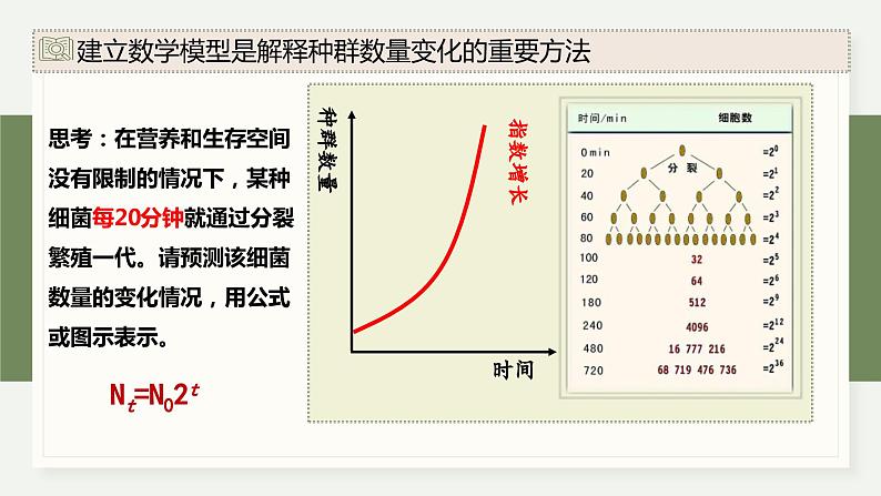 1.2不同条件下种群的增长方式不同（教学课件）——高中生物学浙科版（2019）选择性必修二06