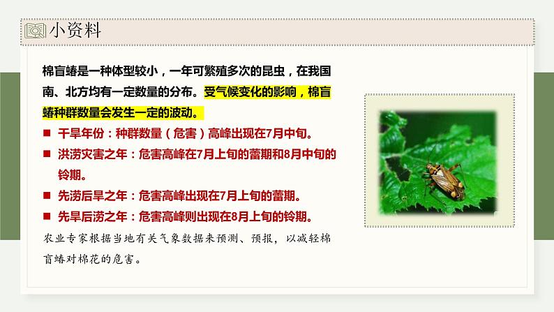 1.3生态因素影响种群数量波动（教学课件）——高中生物学浙科版（2019）选择性必修二03