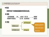 1.3生态因素影响种群数量波动（教学课件）——高中生物学浙科版（2019）选择性必修二