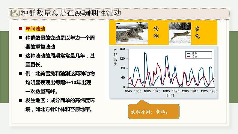 1.3生态因素影响种群数量波动（教学课件）——高中生物学浙科版（2019）选择性必修二07