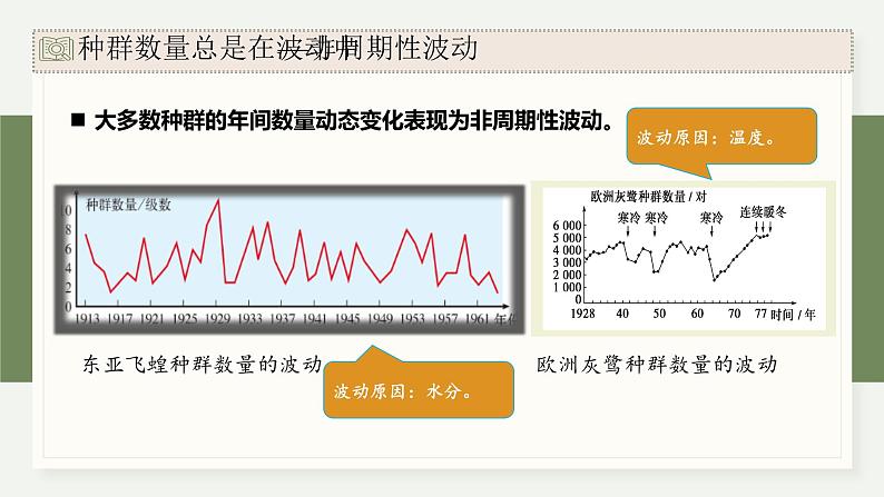 1.3生态因素影响种群数量波动（教学课件）——高中生物学浙科版（2019）选择性必修二08