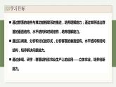 2.2群落具有垂直、水平和时间结构（教学课件）——高中生物学浙科版（2019）选择性必修一