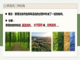 2.2群落具有垂直、水平和时间结构（教学课件）——高中生物学浙科版（2019）选择性必修一