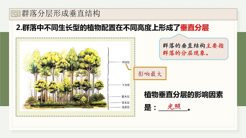 2.2群落具有垂直、水平和时间结构（教学课件）——高中生物学浙科版（2019）选择性必修一07