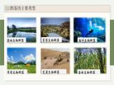 2.3地球上分布着不同类型的群落（教学课件）——高中生物学浙科版（2019）选择性必修一
