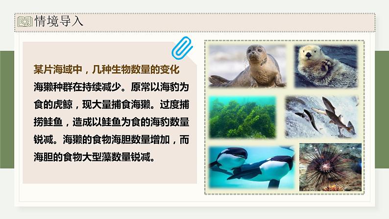 3.1群落与非生物环境组成生态系统（教学课件）——高中生物学浙科版（2019）选择性必修二03