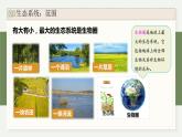 3.1群落与非生物环境组成生态系统（教学课件）——高中生物学浙科版（2019）选择性必修二