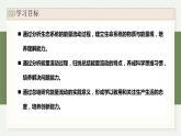 3.3生态系统中的能量单向递减流动（教学课件）——高中生物学浙科版（2019）选择性必修二