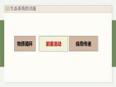 3.3生态系统中的能量单向递减流动（教学课件）——高中生物学浙科版（2019）选择性必修二