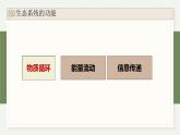 3.4生态系统中的物质能被循环利用（教学课件）——高中生物学浙科版（2019）选择性必修二