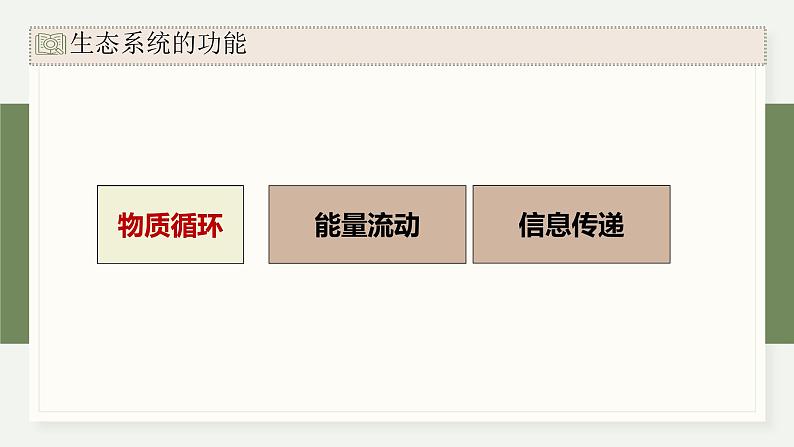 3.4生态系统中的物质能被循环利用（教学课件）——高中生物学浙科版（2019）选择性必修二03