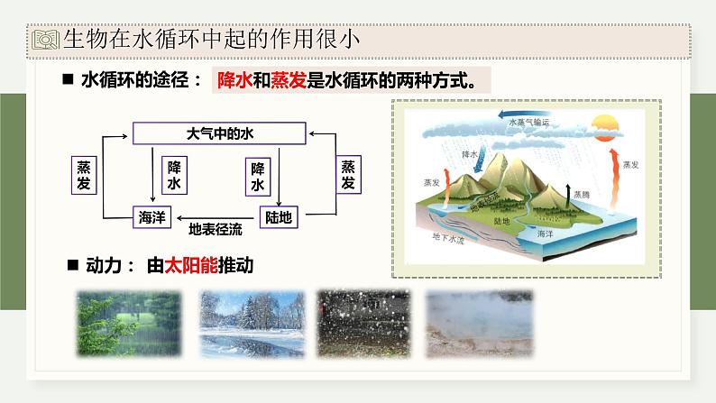 3.4生态系统中的物质能被循环利用（教学课件）——高中生物学浙科版（2019）选择性必修二05