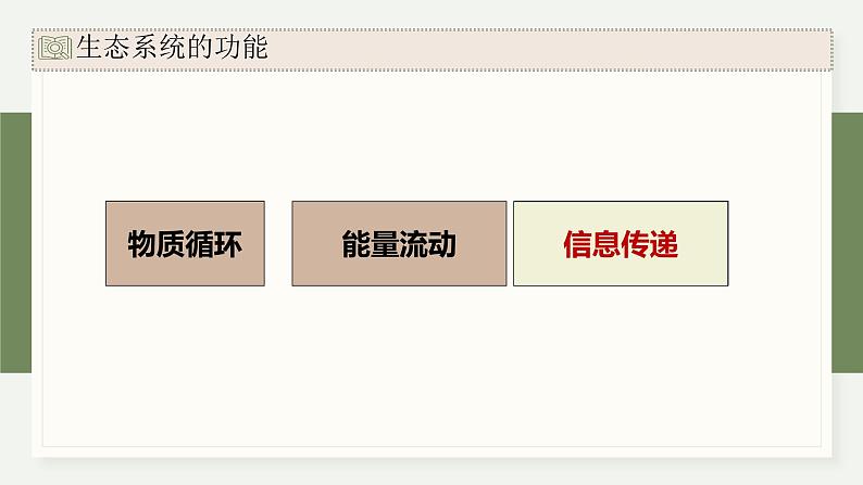 3.5生态系统中存在信息传递（教学课件）——高中生物学浙科版（2019）选择性必修二03