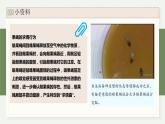3.5生态系统中存在信息传递（教学课件）——高中生物学浙科版（2019）选择性必修二