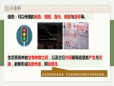 3.5生态系统中存在信息传递（教学课件）——高中生物学浙科版（2019）选择性必修二