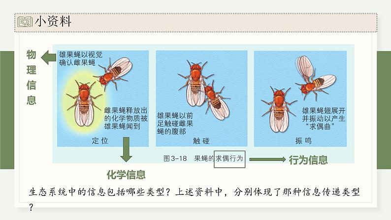 3.5生态系统中存在信息传递（教学课件）——高中生物学浙科版（2019）选择性必修二06