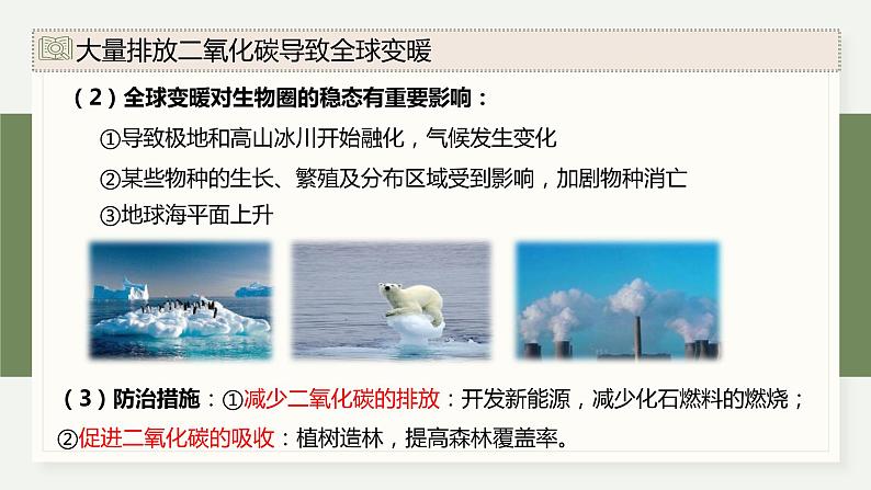 4.2全球性生态环境问题日益突出（教学课件）——高中生物学浙科版（2019）选择性必修二06