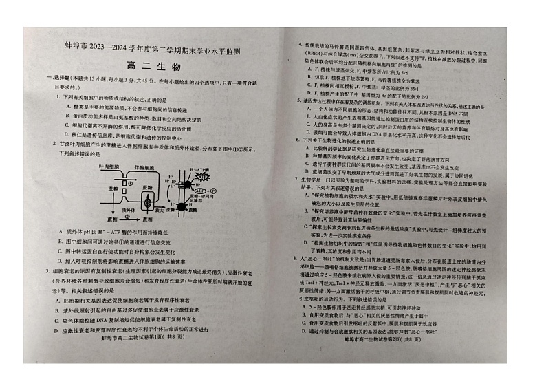 安徽省蚌埠市2023-2024学年高二下学期7月期末学业水平监测生物试题01