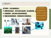 3.6生态系统通过自我调节维持稳态（教学课件）——高中生物学浙科版（2019）选择性必修二