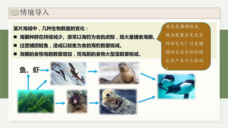 3.6生态系统通过自我调节维持稳态（教学课件）——高中生物学浙科版（2019）选择性必修二第3页