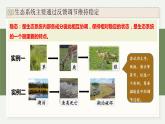 3.6生态系统通过自我调节维持稳态（教学课件）——高中生物学浙科版（2019）选择性必修二