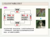 3.6生态系统通过自我调节维持稳态（教学课件）——高中生物学浙科版（2019）选择性必修二