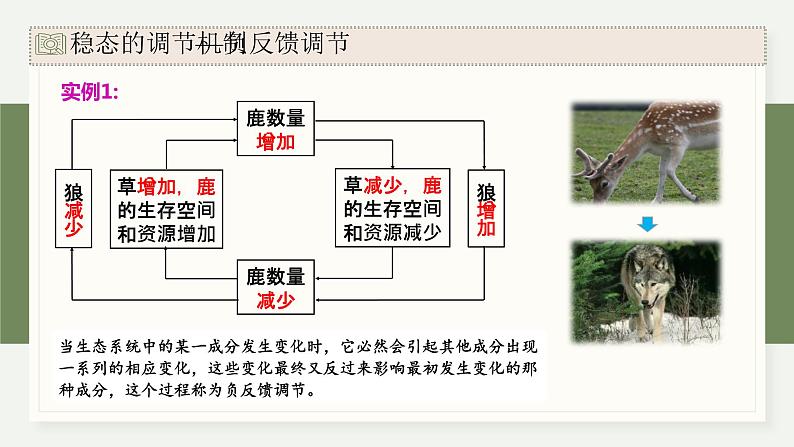 3.6生态系统通过自我调节维持稳态（教学课件）——高中生物学浙科版（2019）选择性必修二第5页