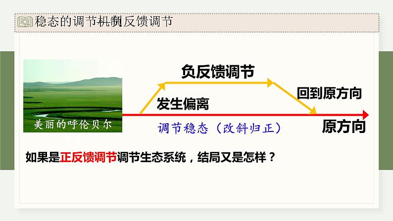 3.6生态系统通过自我调节维持稳态（教学课件）——高中生物学浙科版（2019）选择性必修二第6页