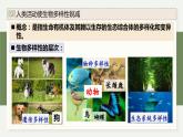 4.3保护生物多样性意义重大（教学课件）——高中生物学浙科版（2019）选择性必修二